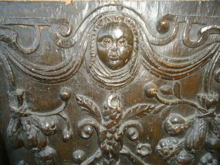 RARE 16TH CENTURY OAK CARVED COFFER PANEL,  NAKED FIGURES WITH FRUITING SCROLLS 7