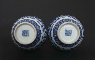 Pair Rare Antique Chinese Porcelain Blue and White Vase Qianlong Marked - flowers 4