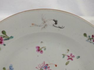 18TH C CHINESE PORCELAIN FAMILLE ROSE FLORAL FLYING CRANES PLATE 3