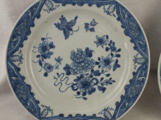18TH C CHINESE PORCELAIN BLUE AND WHITE FLORAL BUTTERFLIES PLATES 2
