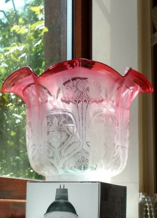 Victorian Ruby Etched Oil Lamp Shade