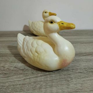 A pair antique celluloid ducks.  Adam Shrayer (Adam Szrajer).  Kalisz.  Poland 10