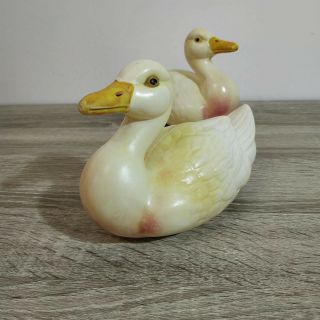A pair antique celluloid ducks.  Adam Shrayer (Adam Szrajer).  Kalisz.  Poland 2