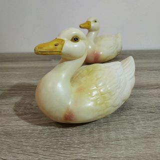 A pair antique celluloid ducks.  Adam Shrayer (Adam Szrajer).  Kalisz.  Poland 4