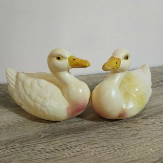 A pair antique celluloid ducks.  Adam Shrayer (Adam Szrajer).  Kalisz.  Poland 6