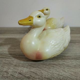 A pair antique celluloid ducks.  Adam Shrayer (Adam Szrajer).  Kalisz.  Poland 7