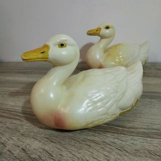 A pair antique celluloid ducks.  Adam Shrayer (Adam Szrajer).  Kalisz.  Poland 8
