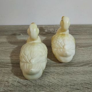 A pair antique celluloid ducks.  Adam Shrayer (Adam Szrajer).  Kalisz.  Poland 9