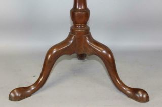A VERY FINE 18TH C PA QUEEN ANNE MAHOGANY TILT TOP BIRDCAGE CANDLESTAND 9
