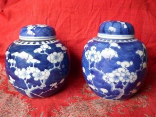 2 Antique Chinese Blue & White Prunus Pattern Ginger Jars 19th/20th Century 6 "