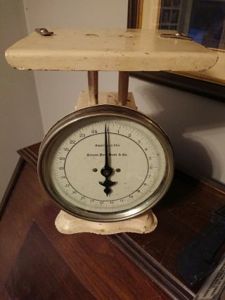 Vintage/Antique Carson Pirie Scott Scale 25 Pound Capacity 12