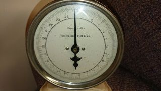 Vintage/Antique Carson Pirie Scott Scale 25 Pound Capacity 3