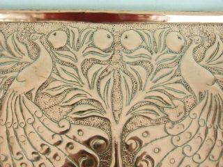 A Arts & Crafts Copper Peacock Tray - Fivemiletown - John Williams 3