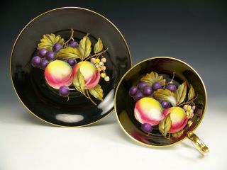 Aynsley Orchard Fruits Black Tea Cup & Saucer Teacup