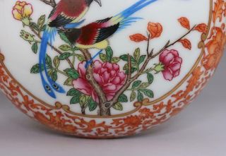 OLD CHINESE FAMILLE ROSE PORCELAIN DRAGON HE POT QIANLONG MARKED (E116) 4