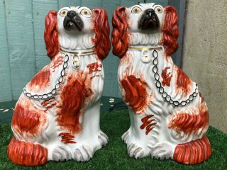 Pair: Mid 19thc Staffordshire Russet Red & White Spaniel Dogs C1850s