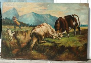Antique Art Deco Era Highland Cattle Old Bull Fight Dog Landscape Oil Painting