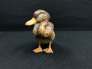 Antique Austrian Vienna Cold Painted Bronze Duck 2