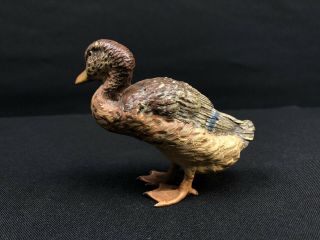 Antique Austrian Vienna Cold Painted Bronze Duck 3