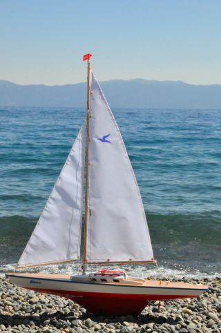 Gunther Albatros sailboat - biggest and fastest in the fleet 3