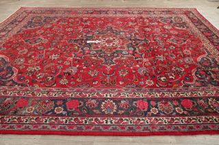 Traditional Oriental Area Rug Wool Hand - Knotted Floral Carpet 10 x 12 12