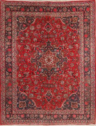 Traditional Oriental Area Rug Wool Hand - Knotted Floral Carpet 10 X 12