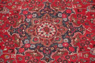 Traditional Oriental Area Rug Wool Hand - Knotted Floral Carpet 10 x 12 3