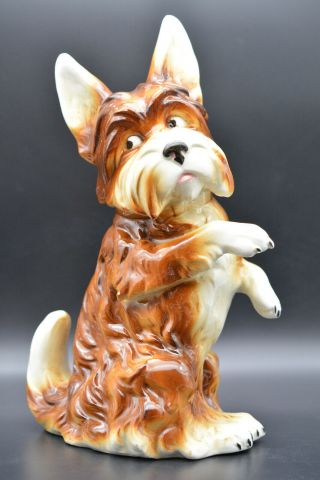Rare Sitzendorf? German Porcelain Antique Xl Dog Cairn Terrier Figurine 11¼ " H