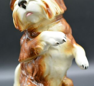 rare Sitzendorf? German porcelain antique XL Dog Cairn Terrier Figurine 11¼ 