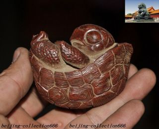 China Yixing Zisha Pottery Carved Fengshui Animal Turtle Tortoise Tea Pet Statue