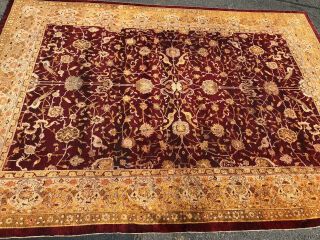 Auth: 19th C Antique Rug Rare Elegant Agra Amritsar Red 10x14 Sleek Beauty NR 5