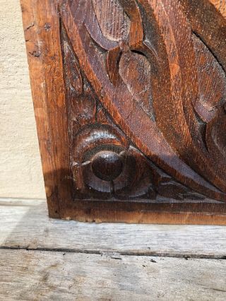 Stunning French Antique Gothic Panel in oak circa 1880 (8) 4