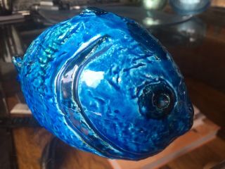 Rare Bitossi Fish in Rimini Blue - Aldo Londi Design 10