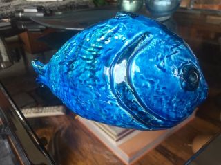 Rare Bitossi Fish in Rimini Blue - Aldo Londi Design 3