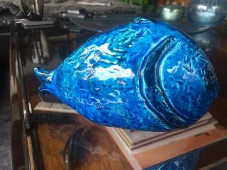 Rare Bitossi Fish in Rimini Blue - Aldo Londi Design 8