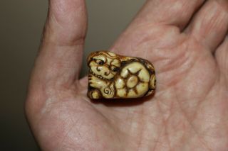 Japanese Traditional Antique Netsuke Antler Hand - Carved Shishi