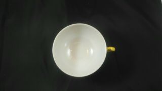 Antique Chinese Porcelain Tea Cup & Saucer Signed Guangxu Hand Painted Excel Con 8