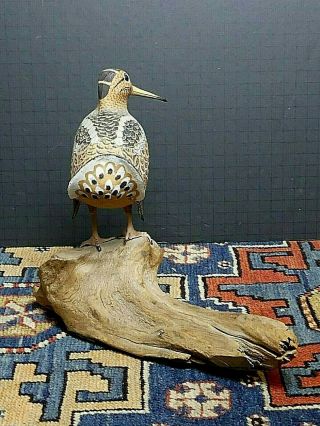 Vintage Hand Carved Dowitcher Shore - Bird Shanty Artists Maine Signed Harry Ross 5