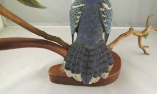 Vintage Hand Carved and Painted Wood Bird Carving Blue Jay Signed G.  White ' 97 10