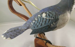 Vintage Hand Carved and Painted Wood Bird Carving Blue Jay Signed G.  White ' 97 11