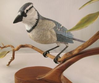 Vintage Hand Carved and Painted Wood Bird Carving Blue Jay Signed G.  White ' 97 5