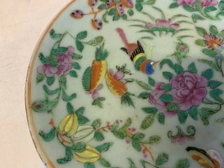 Antique Chinese Qing Dynasty Famille Rose Porcelain Plate w/ Mark on Underside 3