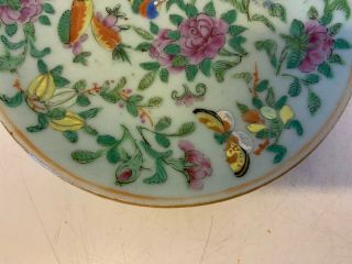 Antique Chinese Qing Dynasty Famille Rose Porcelain Plate w/ Mark on Underside 5
