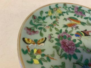 Antique Chinese Qing Dynasty Famille Rose Porcelain Plate w/ Mark on Underside 7