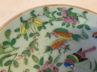 Antique Chinese Qing Dynasty Famille Rose Porcelain Plate w/ Mark on Underside 8