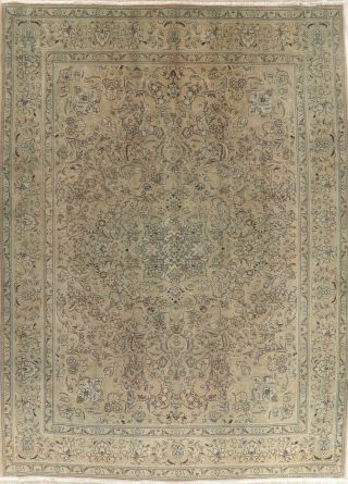 Distressed Traditional Oriental Wool Area Rug Hand - Knotted Muted Carpet 10 X 13
