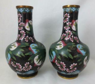 Vintage Pair 8.  5 " Chinese Cloisonne Enamel Vases Pomegranates & Flowers On Black