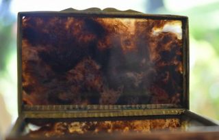 Antique German 19th Century Beveled Moss Agate Stone Snuff Gold Dore Case Box 5