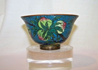 9 PEACHES - 18TH QING Chinese CLOISONNE Enamel Bronze Handleless Cup OFFERS 4