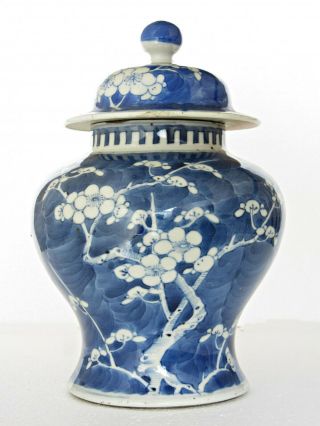 Antique Chinese Blue & White Porcelain Lidded Vase Prunus,  Kangxi Double Ring Mk